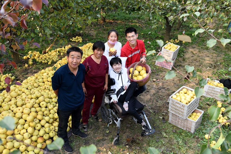 Aliança de comércio eletrônico ajuda a promoção de produtos agrícolas das áreas chinesas afetadas pela pobreza