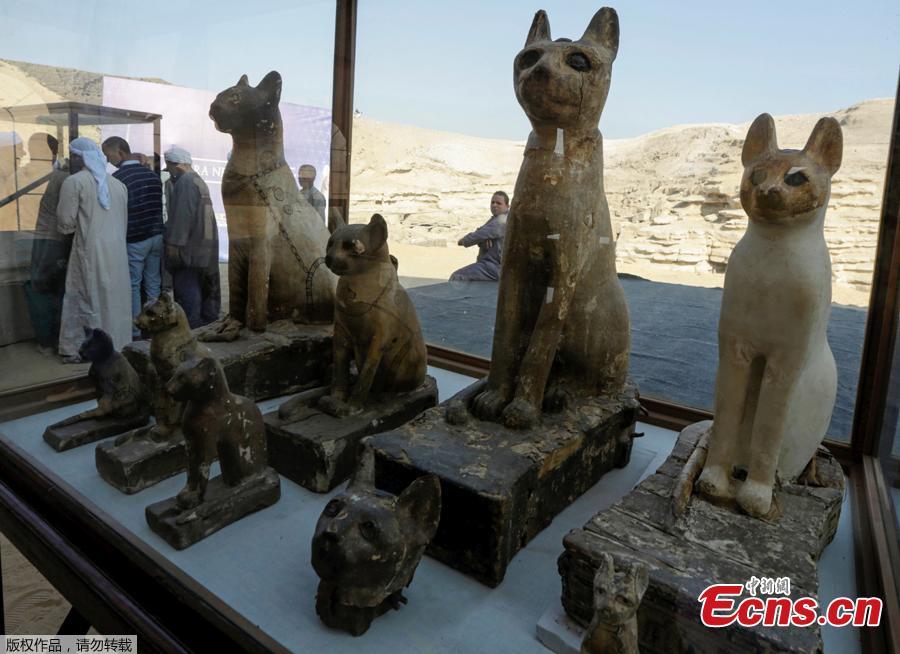 Egito: múmias de animais exibidas em Saqqara