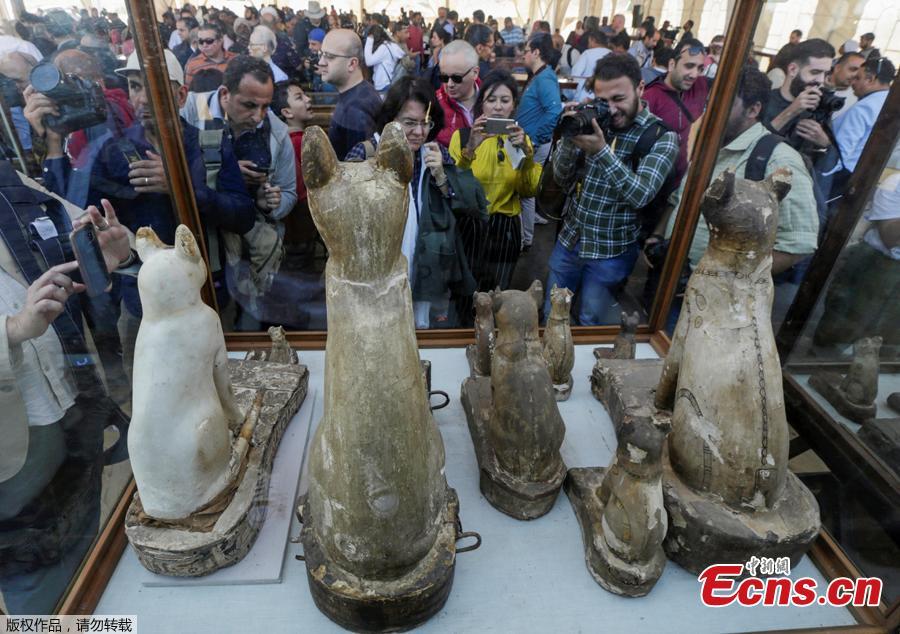 Egito: múmias de animais exibidas em Saqqara