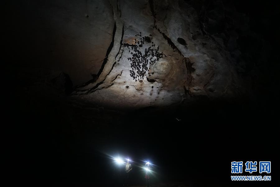 Expedição multinacional descobre buracos cársticos gigantes na China