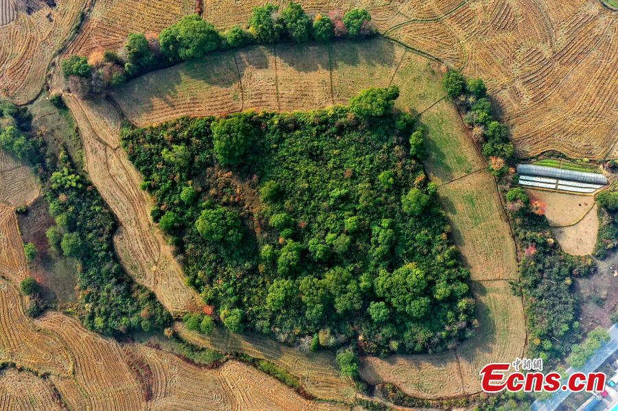 Povoamento com fosso de 5.000 anos descoberto na China