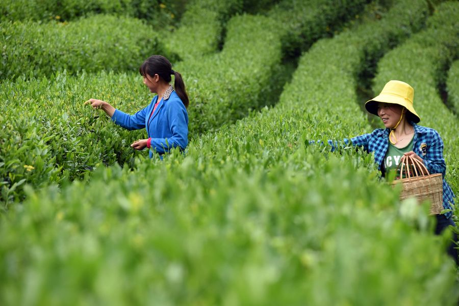 Observatório Econômico: China arregaça as mangas para lidar com árduas tarefas do desenvolvimento rural em 2020