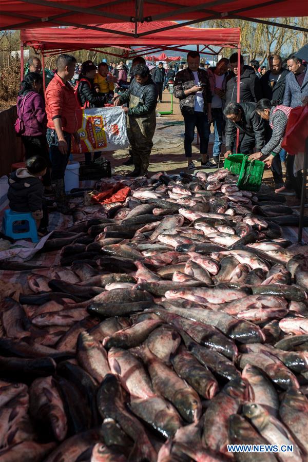 Yunnan: proibição de pesca suspensa temporariamente no lago Xingyun