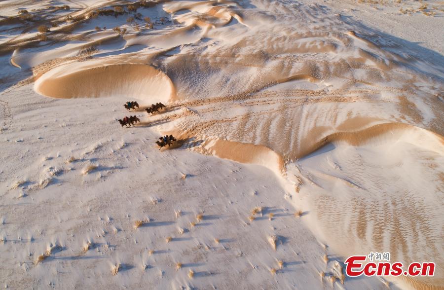 Galeria: deserto da Mongólia Interior coberto de neve 
