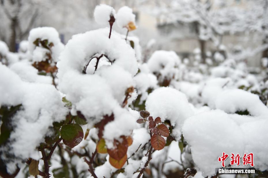Beijing recebe primeira queda de neve de 2020