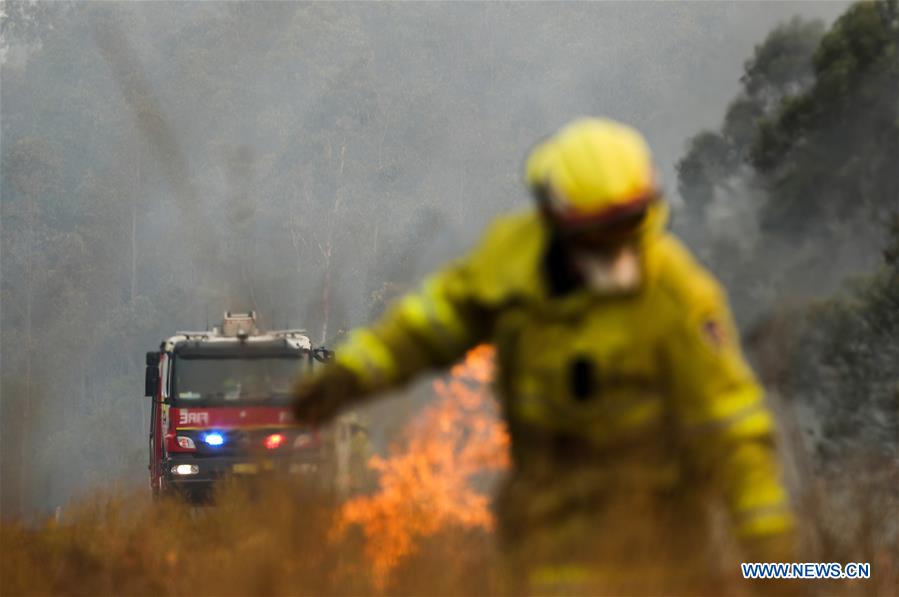 Austrália: nova agência será criada para combater incêndios florestais