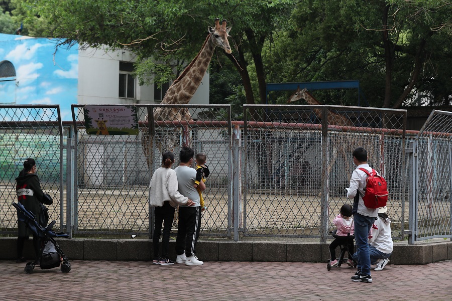 Zoo de Wuhan reabre ao público pela primeira vez desde o surto

