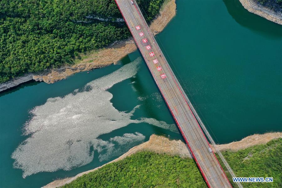 Galeria: Ponte Wujiang sobre Lago Feilong em construção em Guizhou

