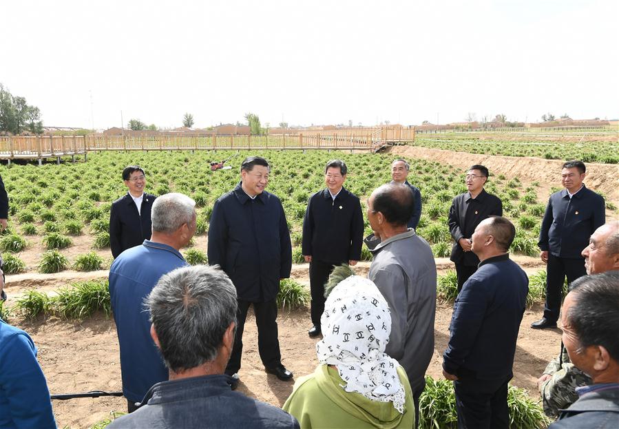  Xi enfatiza papel da agricultura de lírio-de-um-dia no alívio da pobreza