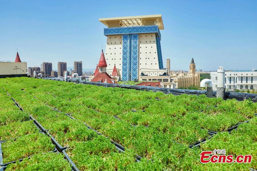 Galeria: Jardins de terraço montados na escola em Zhengzhou