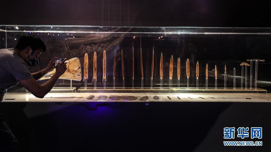 Espécime plastificado de cachalote está em exposição em Dalian

