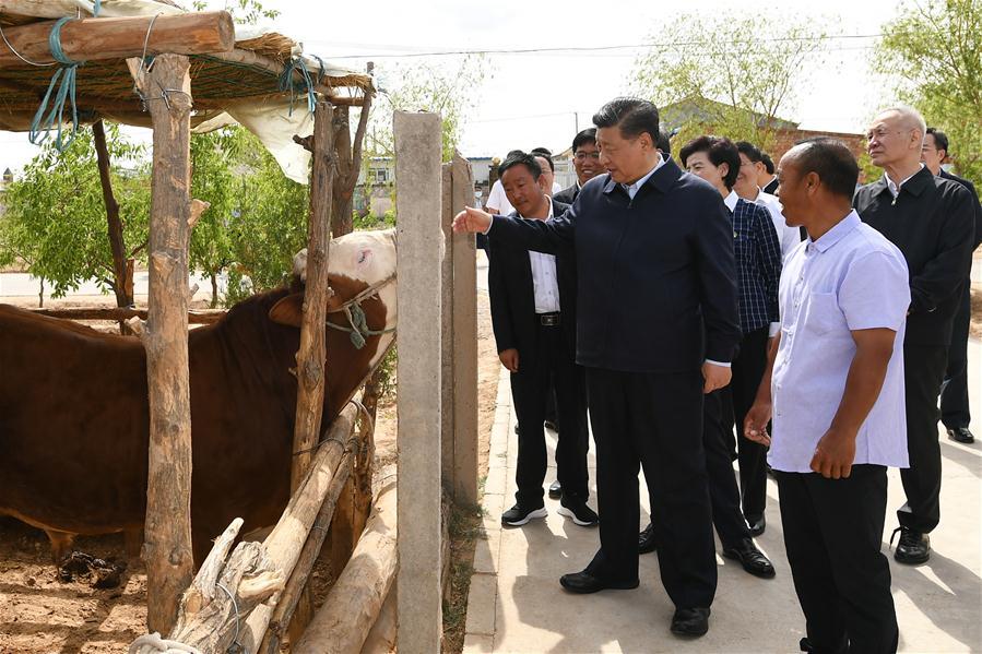 Xi destaca vitória na luta contra pobreza durante inspeção em Ningxia

