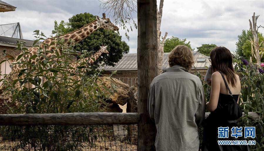 Parque Zoológico de Londres reabre