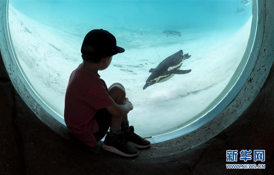 Parque Zoológico de Londres reabre