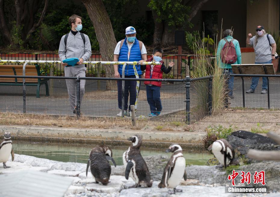 EUA: Zoológico de São Francisco reabre 