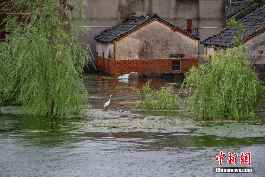 Inundações afetam 23,85 milhões de pessoas na China