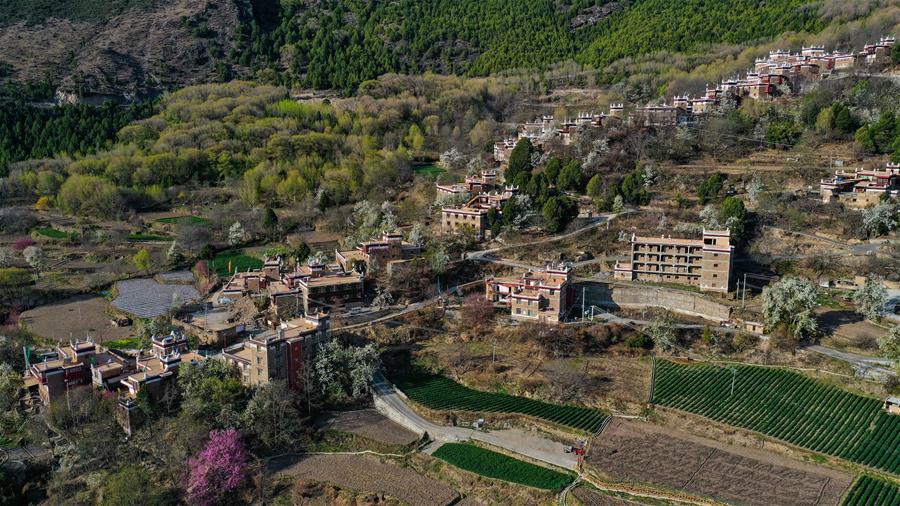 Galeria: província de Sichuan realiza projetos para alcançar desenvolvimento rural integral