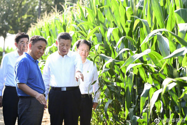 Xi Jinping faz visita de inspeção a Jilin