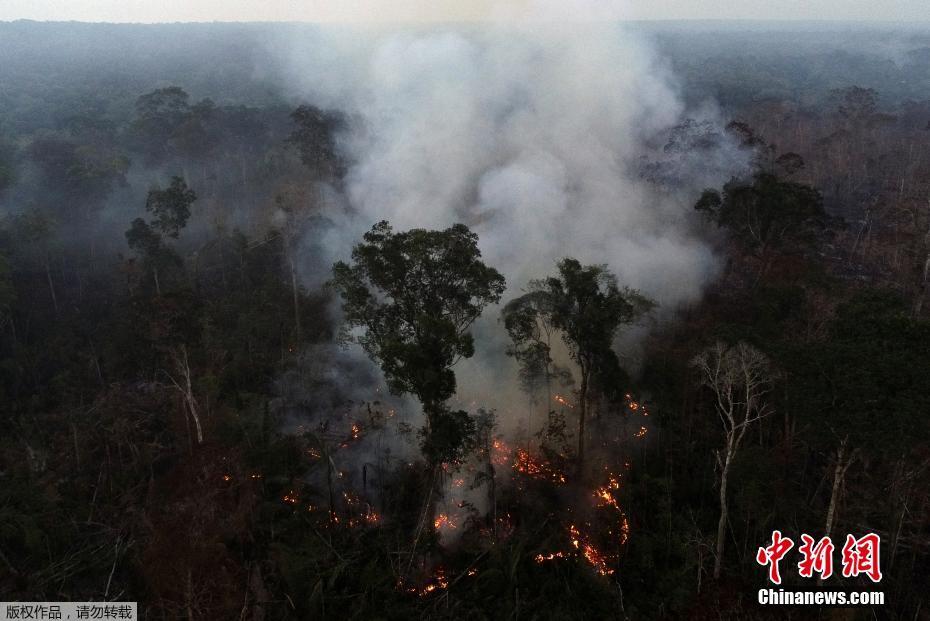 Amazônia registra aumento de incêndios em julho