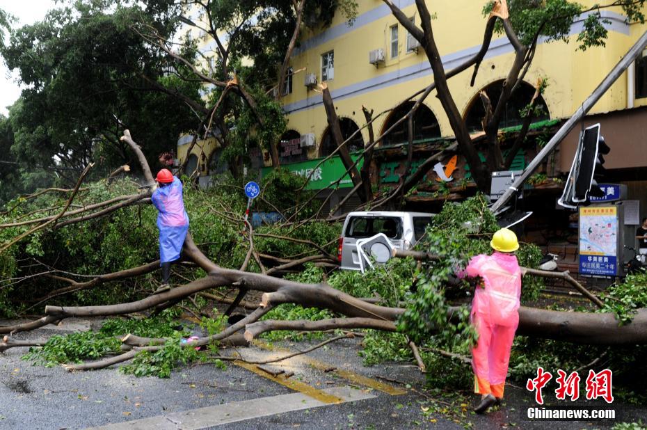 Fujian: Zhangzhou atingida pelo Tufão Mekkhala 