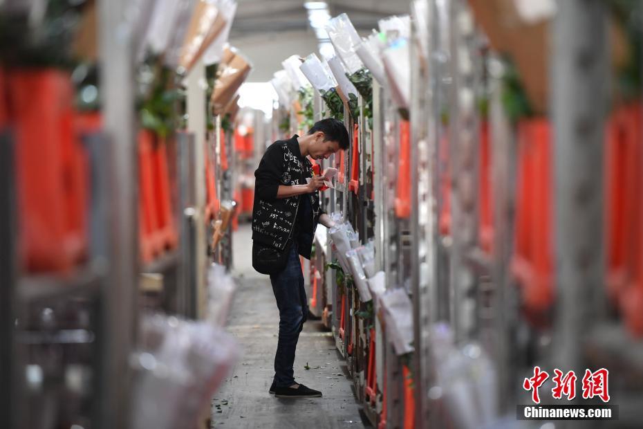 Kunming：Centro de Leilões de flores antes do Festival Qixi