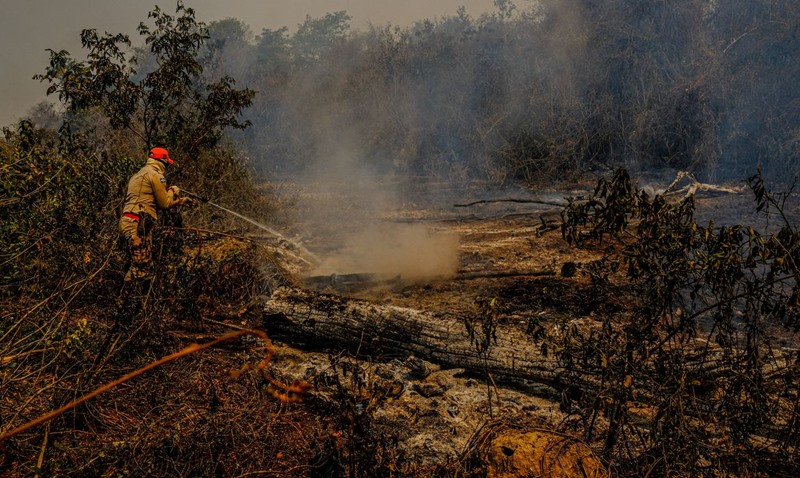 Governo declara situação de emergência ambiental por incêndios no Pantanal brasileiro