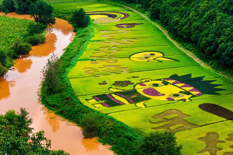 Galeria: arrozal colorido em Yunnan desperta atenção de curiosos

