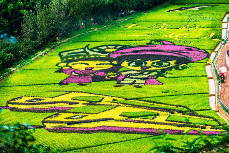 Galeria: arrozal colorido em Yunnan desperta atenção de curiosos

