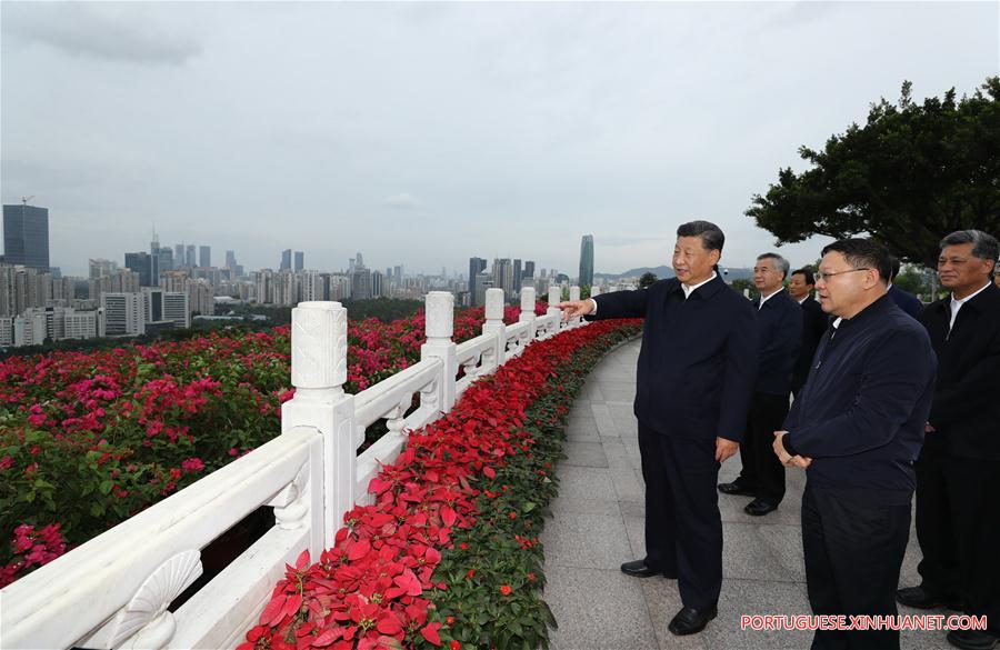 Xi oferece flores à estátua de Deng Xiaoping em Shenzhen

