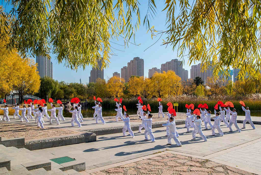 Entusiastas das artes marciais praticam dança tai chi em Hohhot