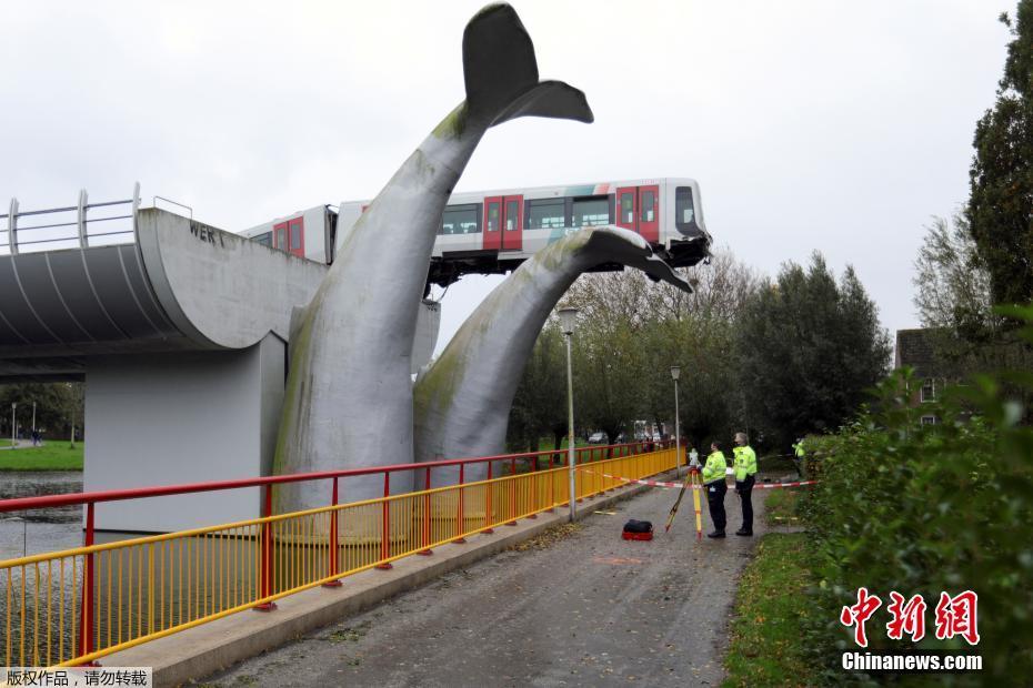 Trem holandês sai dos trilhos e atinge escultura de baleia