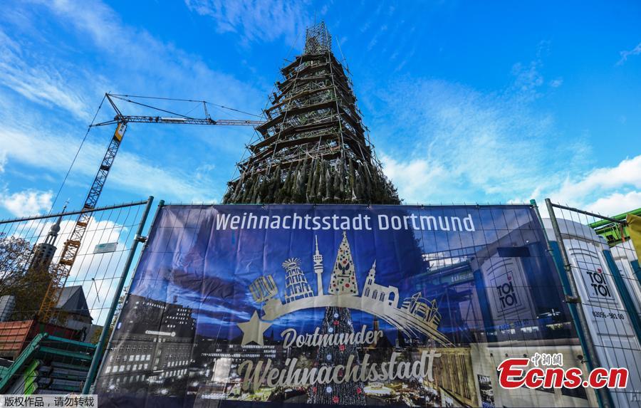 Construção de árvore de Natal na Alemanha será interrompida devido à pandemia