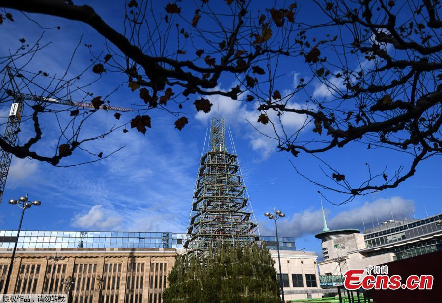 Construção de árvore de Natal na Alemanha será interrompida devido à pandemia
