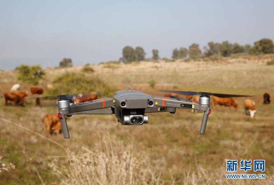 Galeria: pastagem por drones