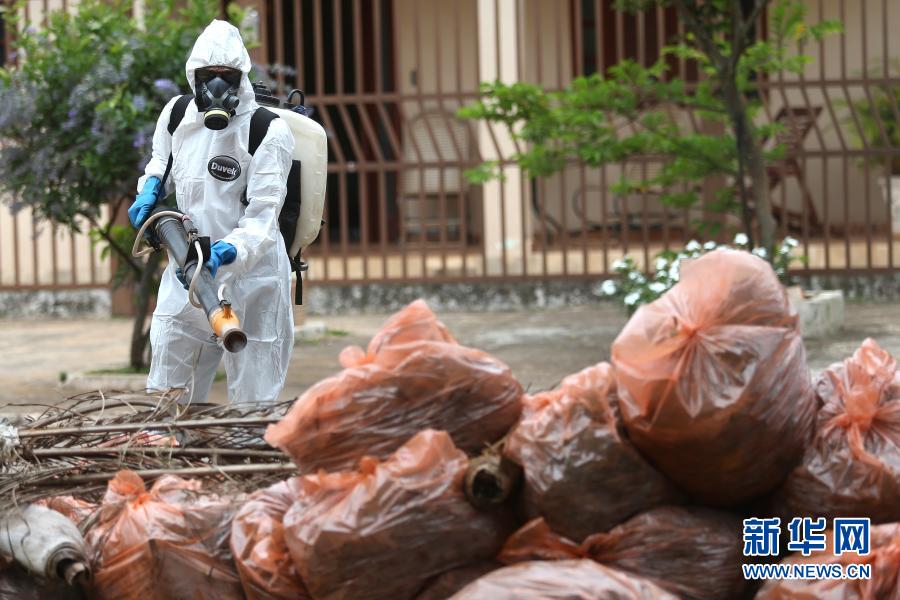 Ministério da Saúde do Brasil lança campanha de combate e prevenção ao mosquito Aedes aegypti