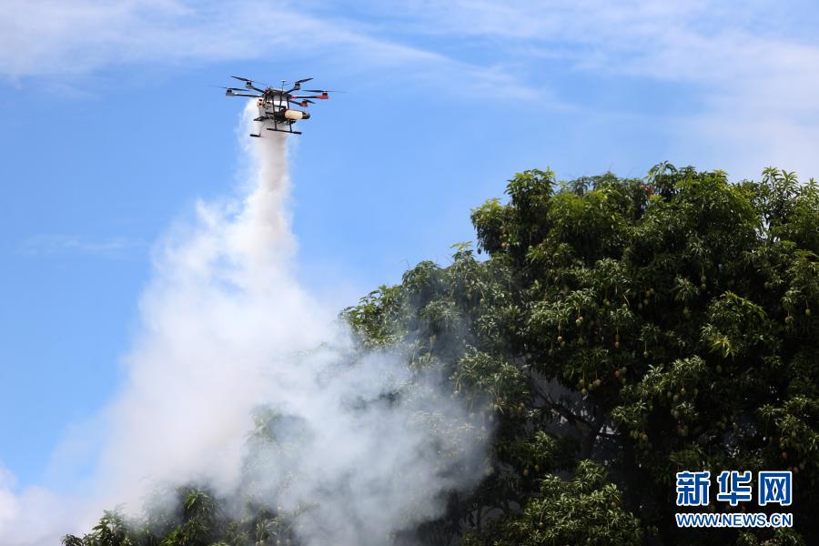 Ministério da Saúde do Brasil lança campanha de combate e prevenção ao mosquito Aedes aegypti