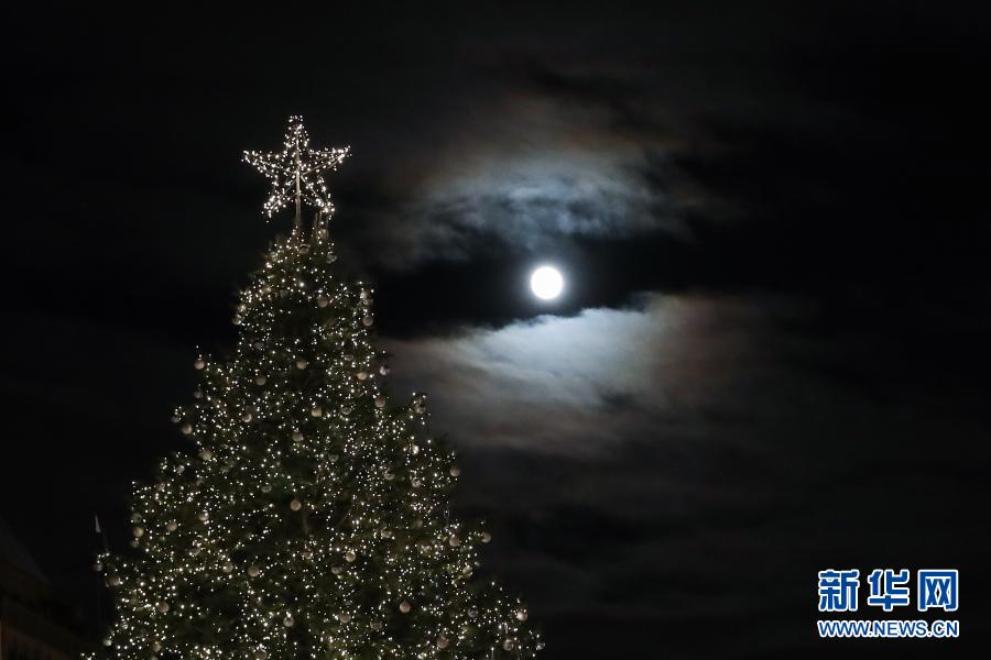 Luzes de Árvore de Natal são acesas em Berlim