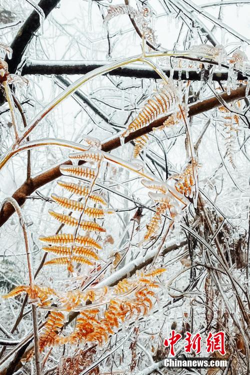 Galeria: paisagem invernal de Hubei