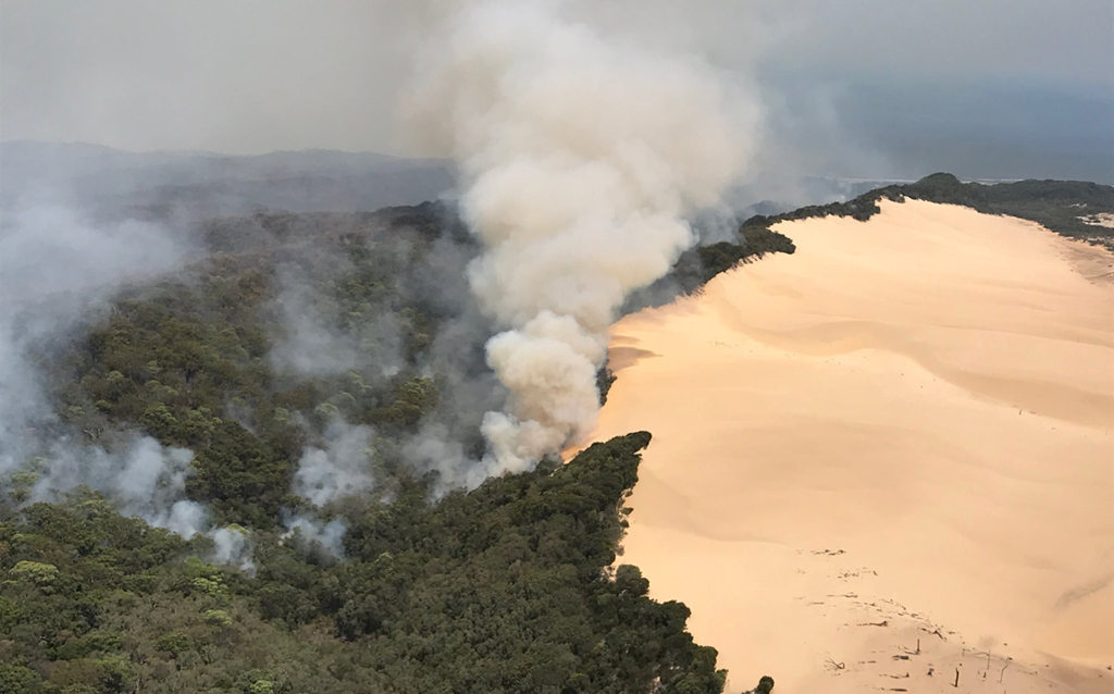 Austrália: ilha Fraser assolada por incêndio florestal