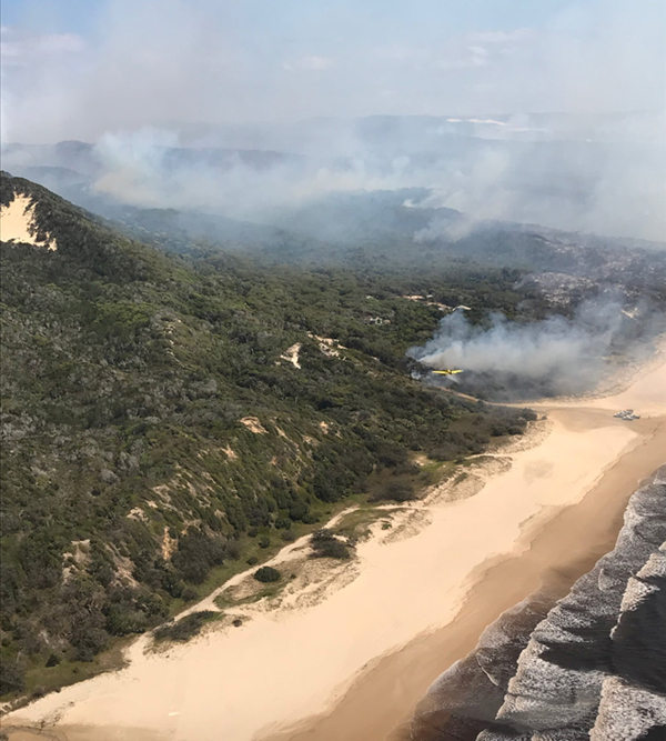 Austrália: ilha Fraser assolada por incêndio florestal