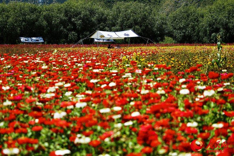 Tibete: paisagem de Nyingchi é intoxicada por seu cenário natural

