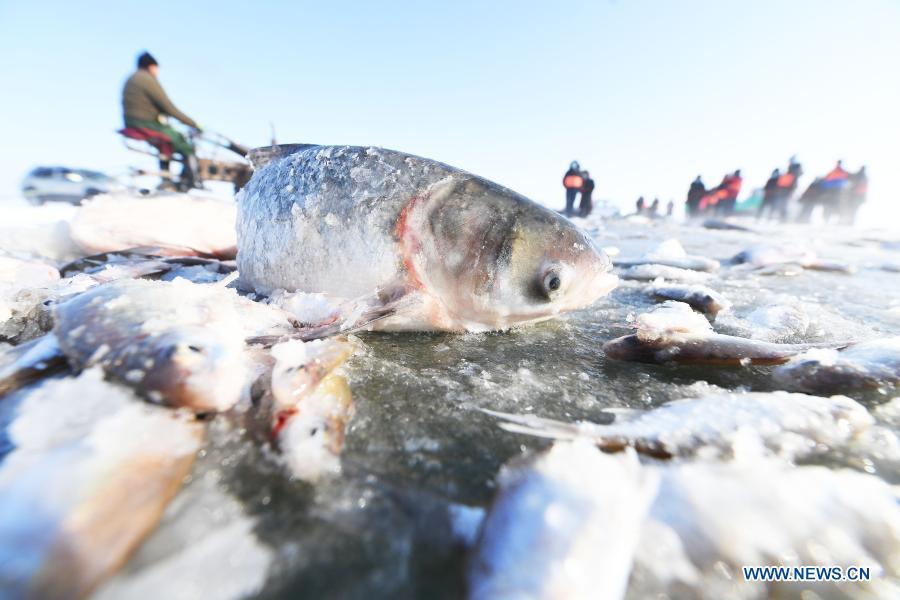 Xinjiang inaugura estação de pescas de inverno