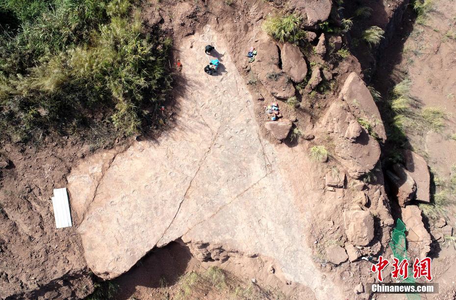 Província descobre o maior número de pegadas de dinossauros na China até hoje