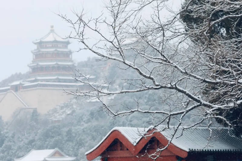 Galeria: Beijing acorda com primeira neve em 2021