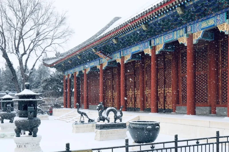 Galeria: Beijing acorda com primeira neve em 2021