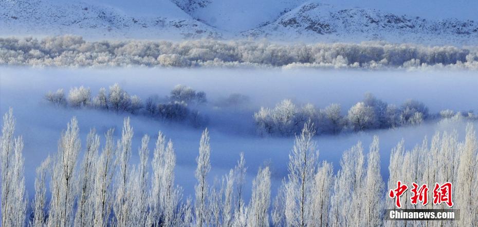 Galeria: paisagem invernal do condado de Nilka, Xinjiang