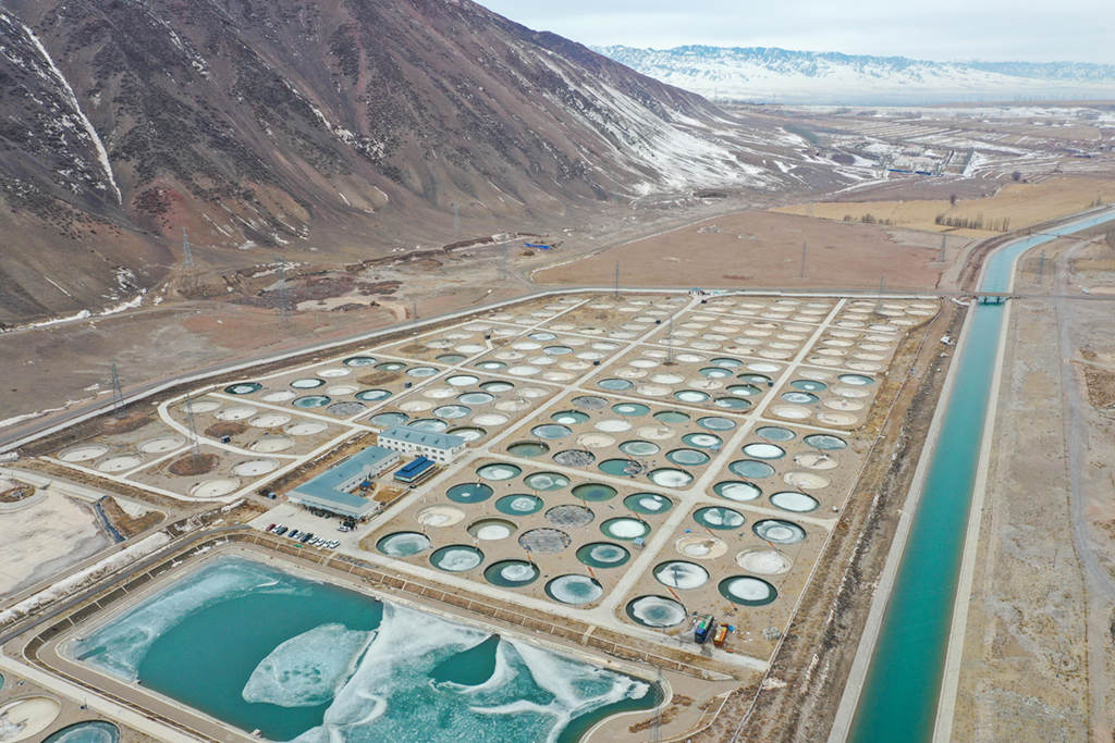 Xinjiang desenvolve indústria aquática característica