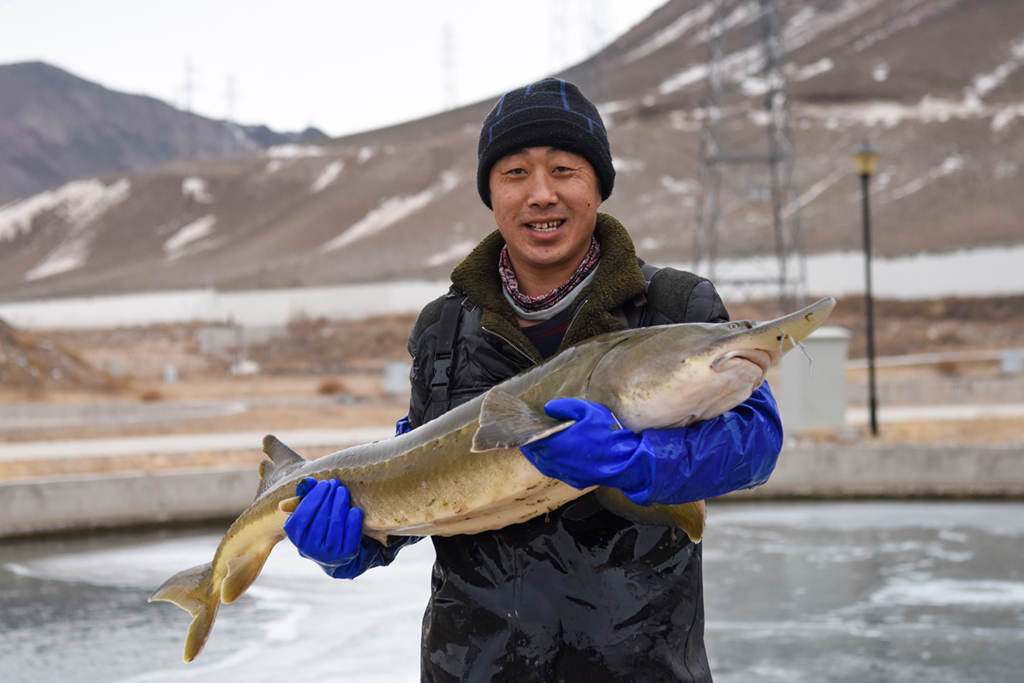 Xinjiang desenvolve indústria aquática característica