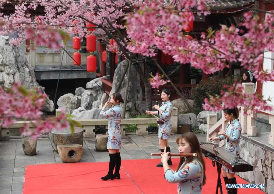 Parque de cerejeira em Wuhan abre ao público