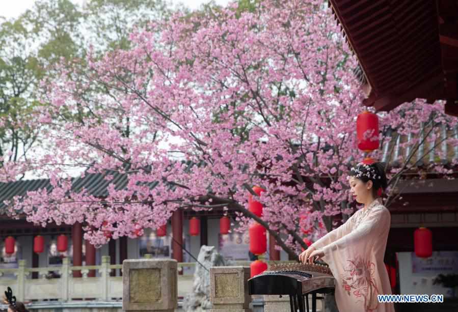 Parque de cerejeira em Wuhan abre ao público